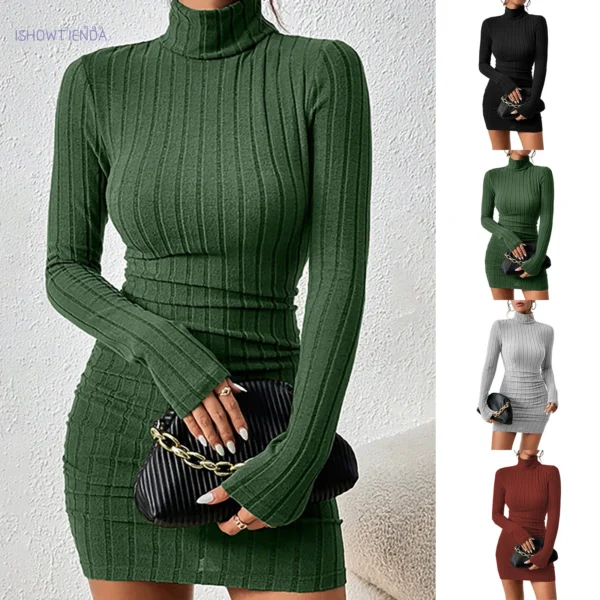 Knit Dress: Elegant Turtleneck Bodycon Mini Dress